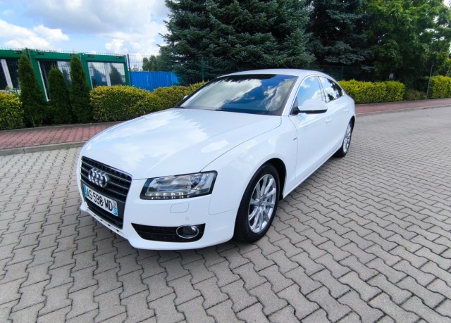 audi