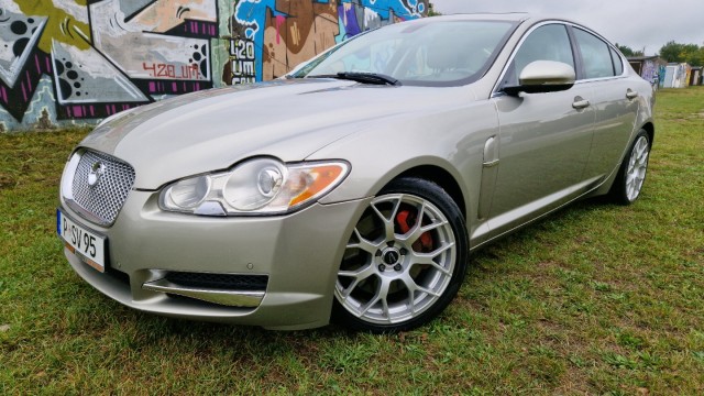 jaguar